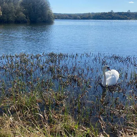 Drummond Neuk - Pets Welcome Free, Country Setting, Free Onsite Parking Inverness Exterior photo